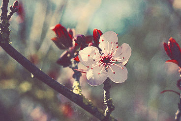 在线手机号呼死你