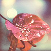 手机号呼叫软件